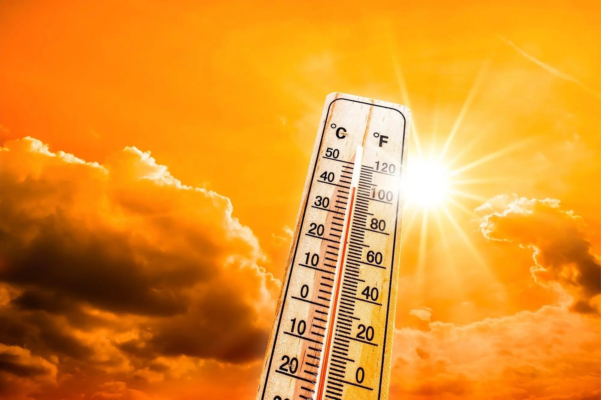 What-Should-You-Keep-in-a-Safe-During-a-Heatwave by ISLANDSAFE | The best safes for valuables protection