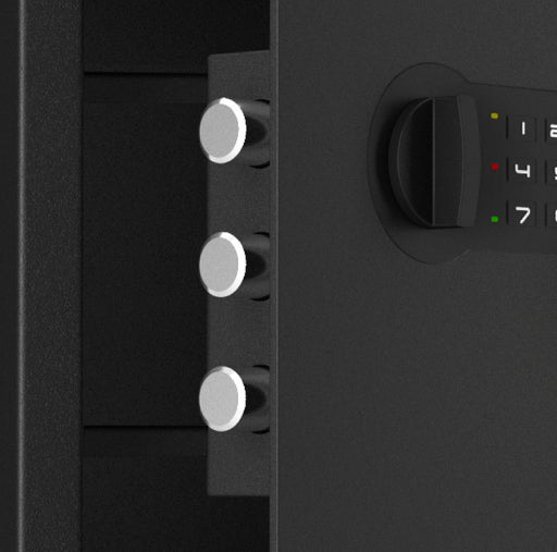 Triple Lock Security